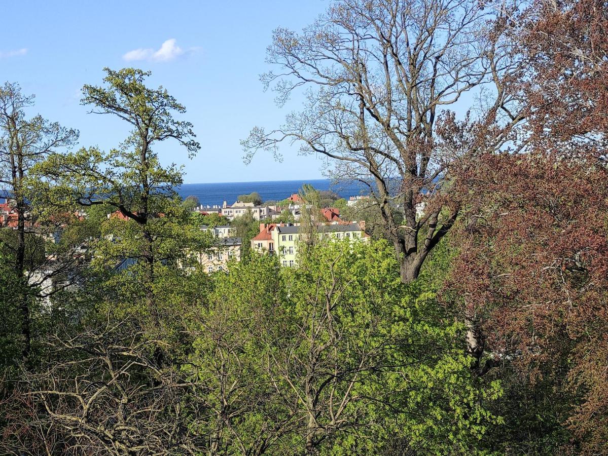 Mieszkanie Kava - Noclegisopot * Sopot